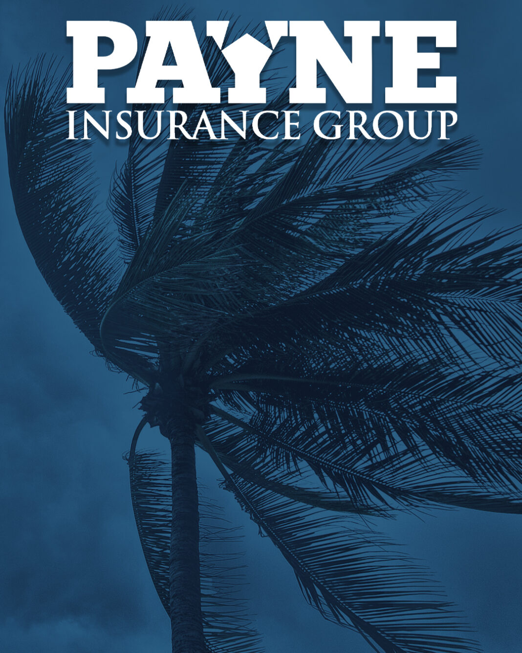 995927CE-3FD7-4CB5-9324-83736AE9BBC5